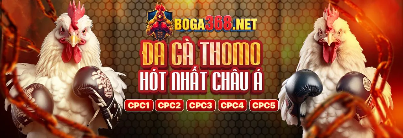 win33 nhà cái VIP Club: Trải nghiệm cá cược đẳng cấp