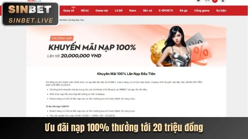 Miễn Phí Cược & Vòng Quay